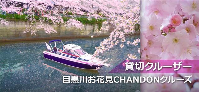 期間限定！貸し切りクルーズで目黒川お花見プラン